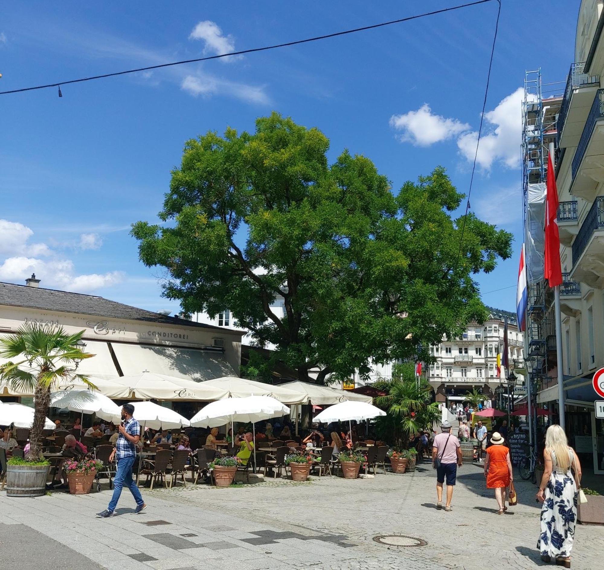 Gemuetliches J&L Apartment Nahe Des Hauptbahnhofes Baden-Baden Exteriér fotografie