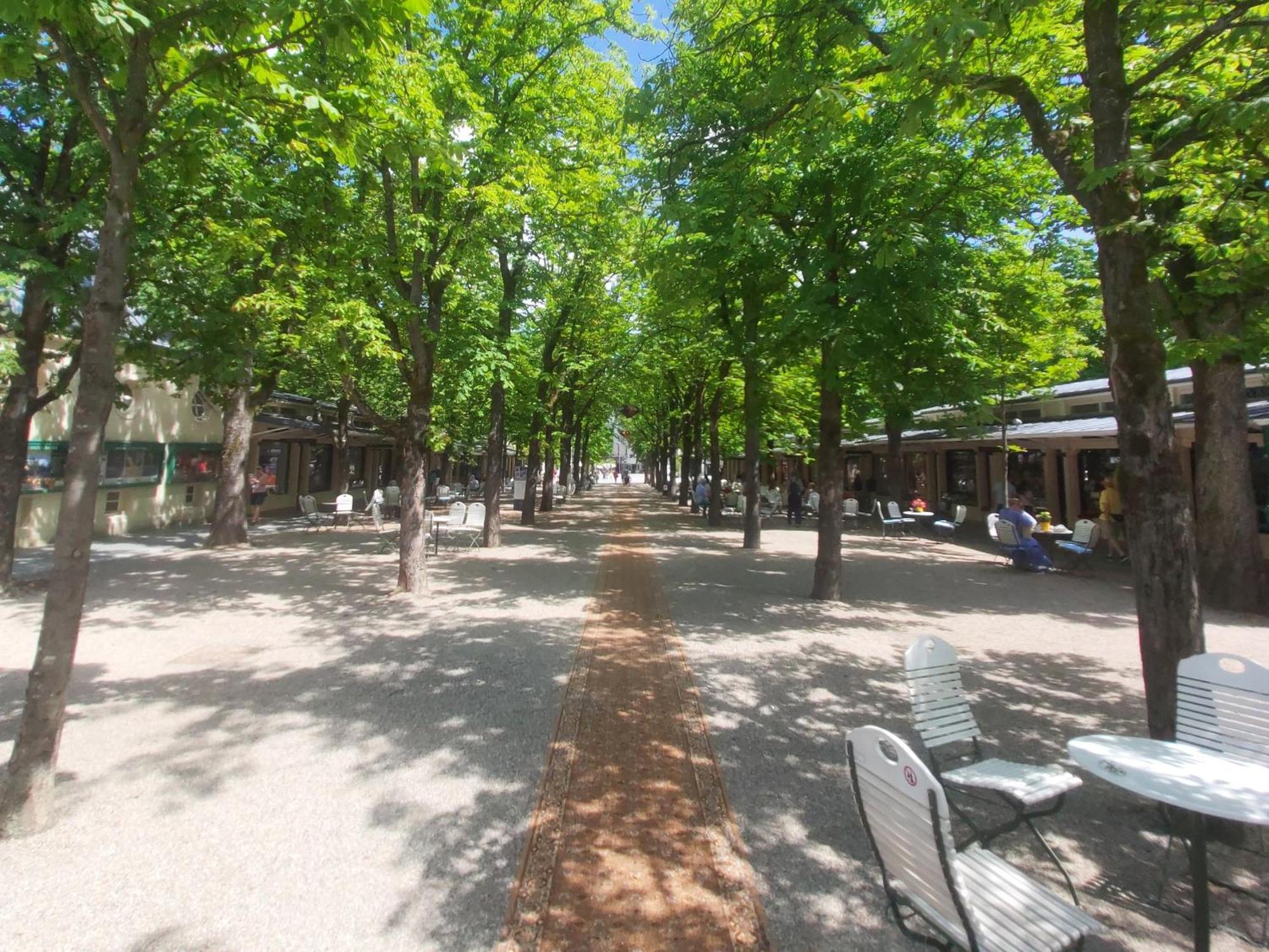 Gemuetliches J&L Apartment Nahe Des Hauptbahnhofes Baden-Baden Exteriér fotografie
